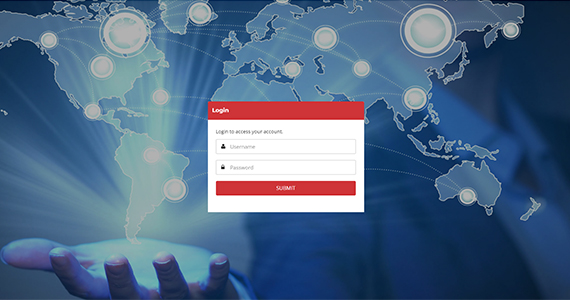 Web Application Development in delhi